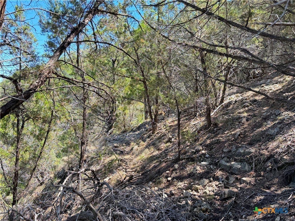 0.48 acres in Comal County - photo 18