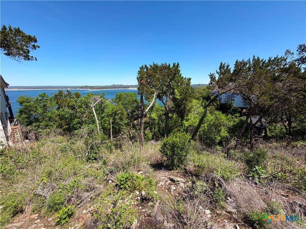 0.48 acres in Comal County - photo 9