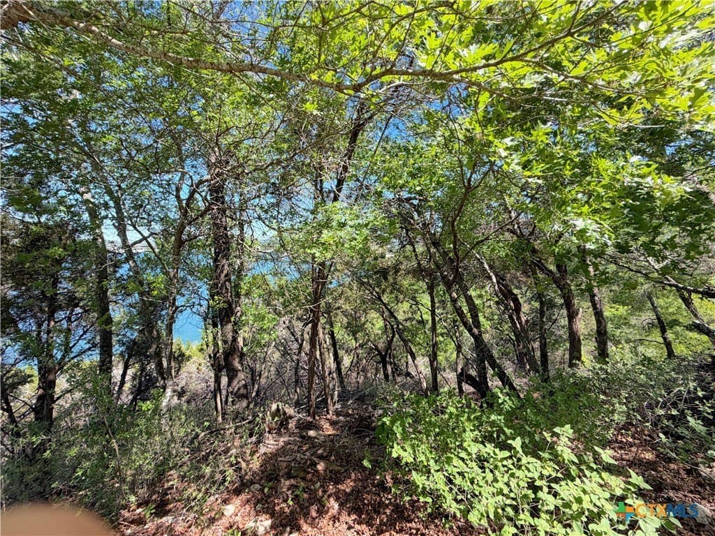 0.48 acres in Comal County - photo 11