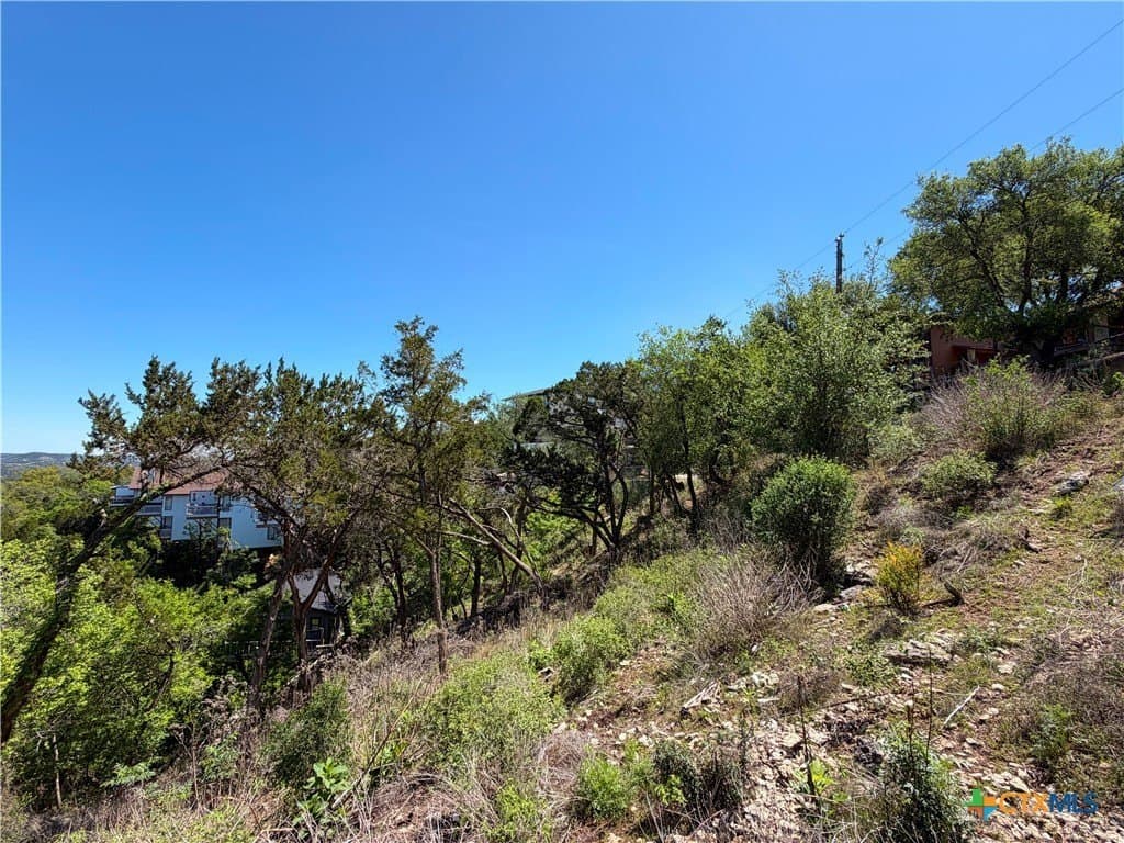 0.48 acres in Comal County gallery image 4