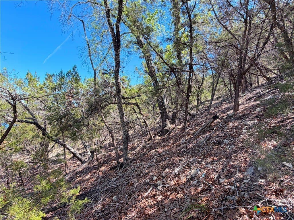 0.48 acres in Comal County - photo 13