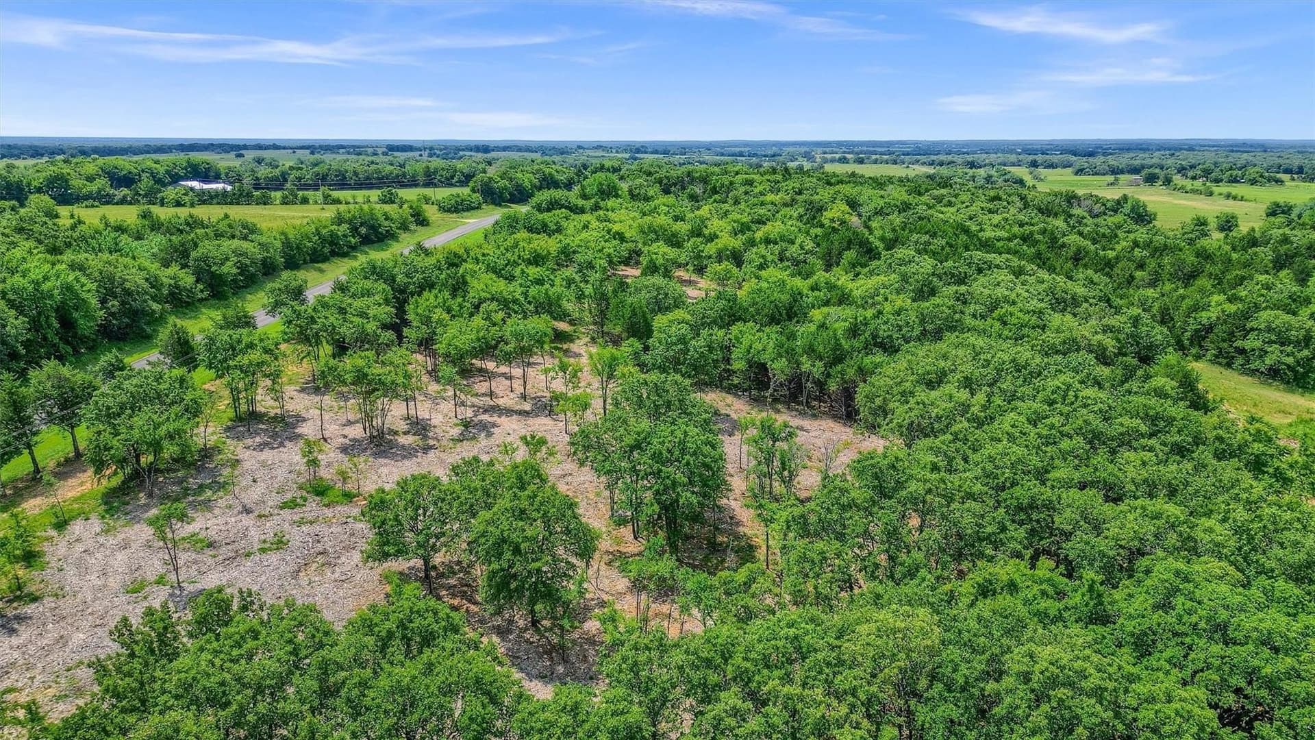 13 acres in Cooke County - photo 6