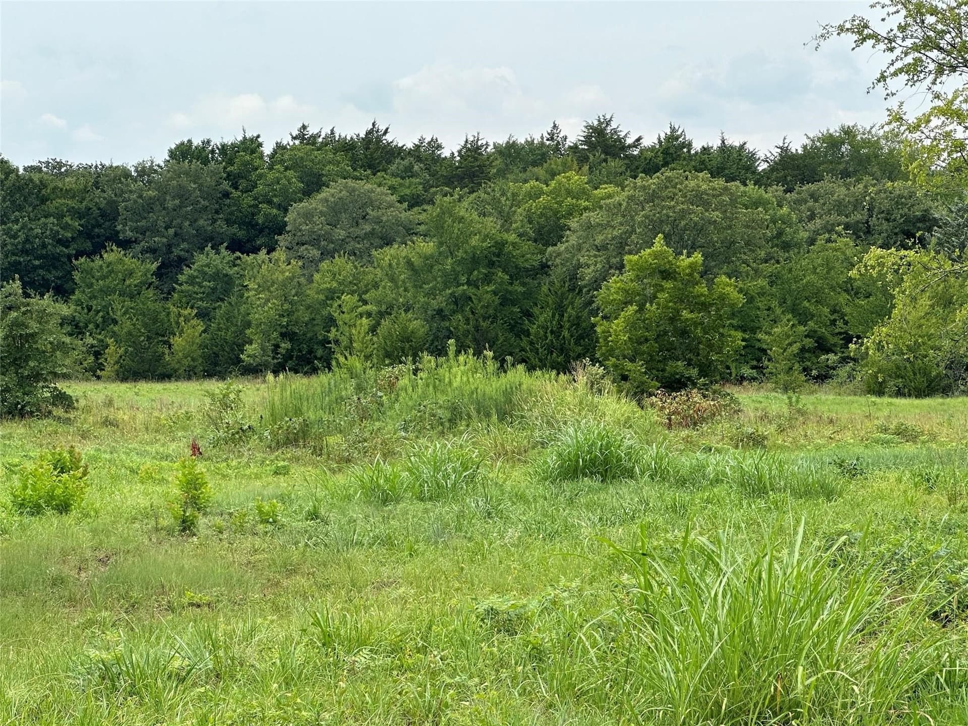 13 acres in Cooke County - photo 2