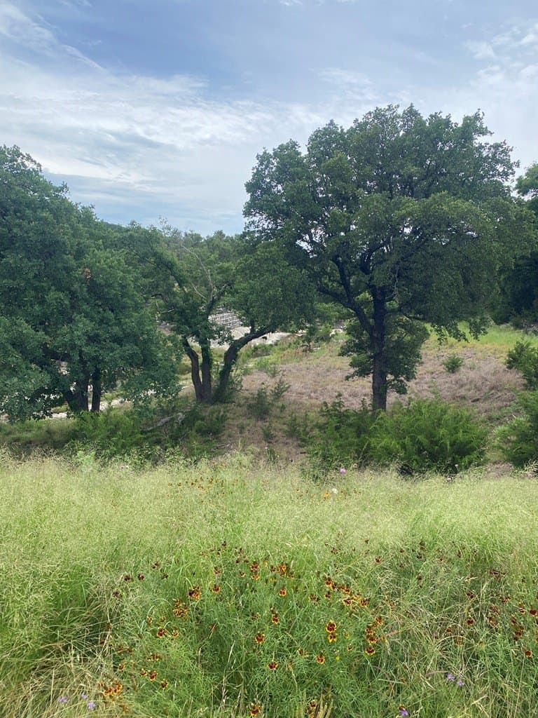 3.01 acres in Gillespie County - photo 18
