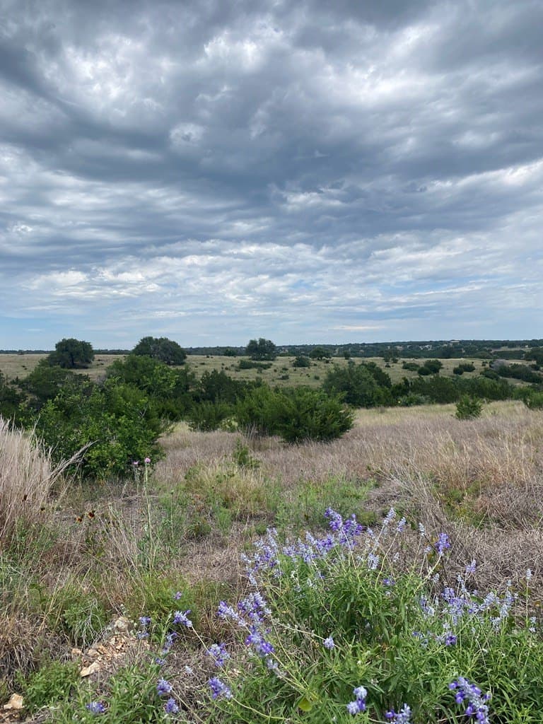 3.01 acres in Gillespie County - photo 9
