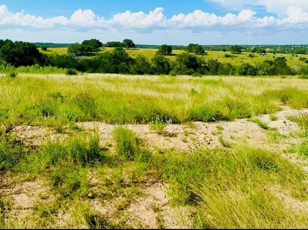 3.01 acres in Gillespie County gallery image 4