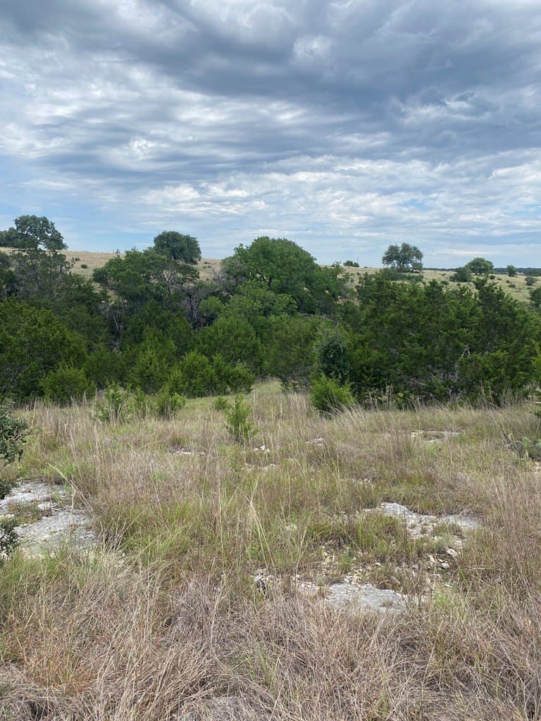 3.01 acres in Gillespie County - photo 16