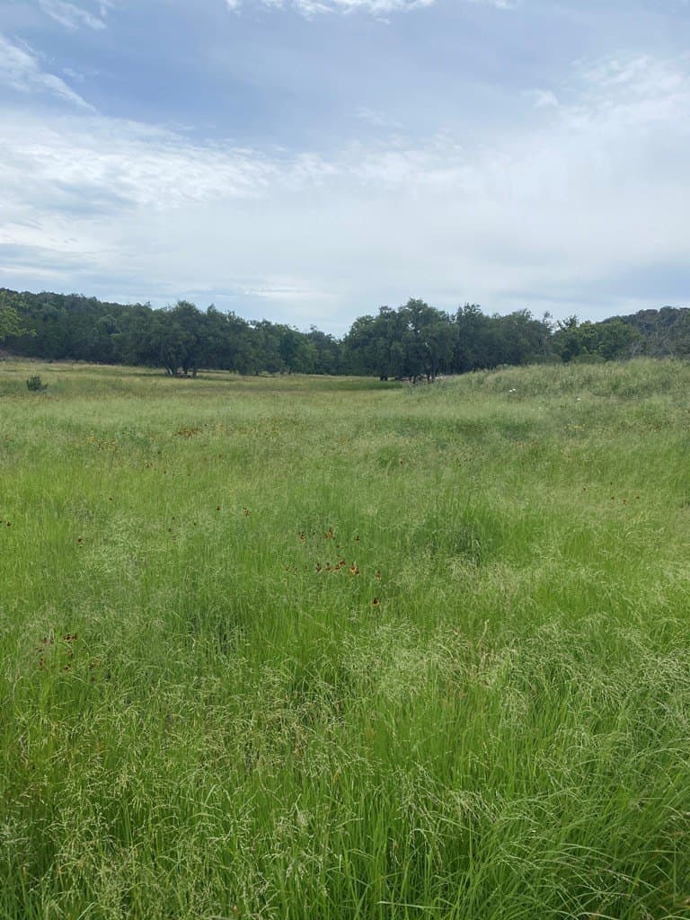 3.01 acres in Gillespie County gallery image 3