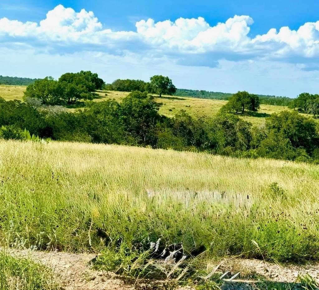 3.01 acres in Gillespie County gallery image 2
