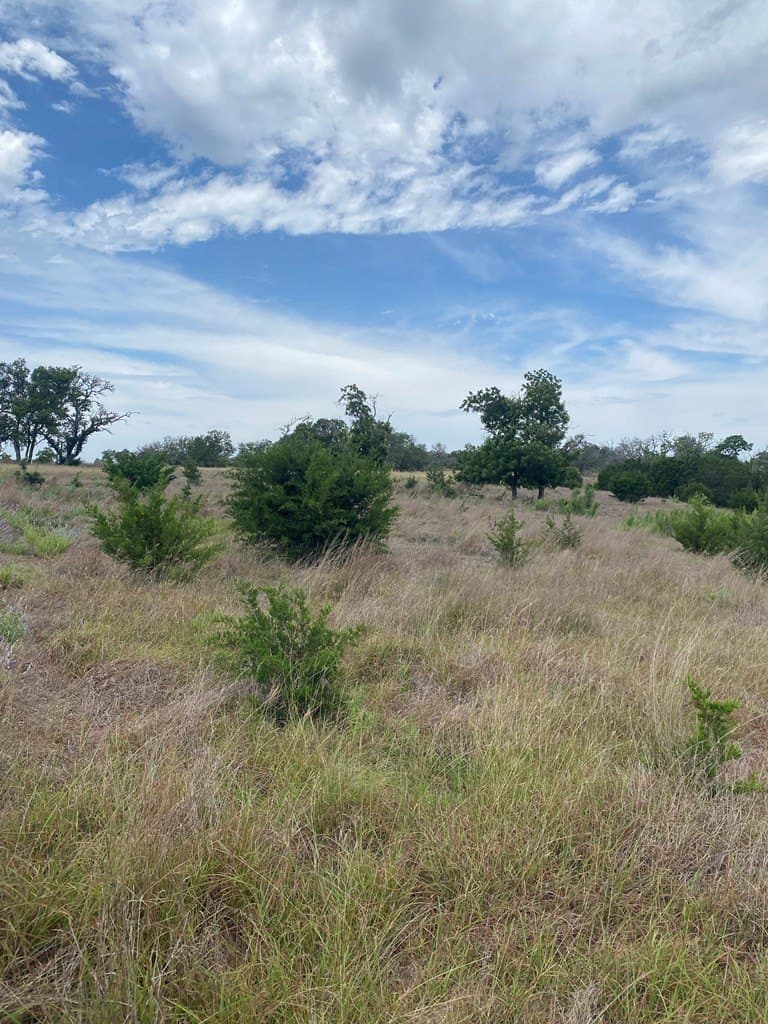 3.01 acres in Gillespie County - photo 10