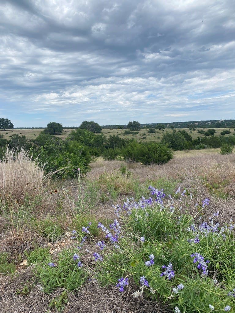 3.01 acres in Gillespie County - photo 15