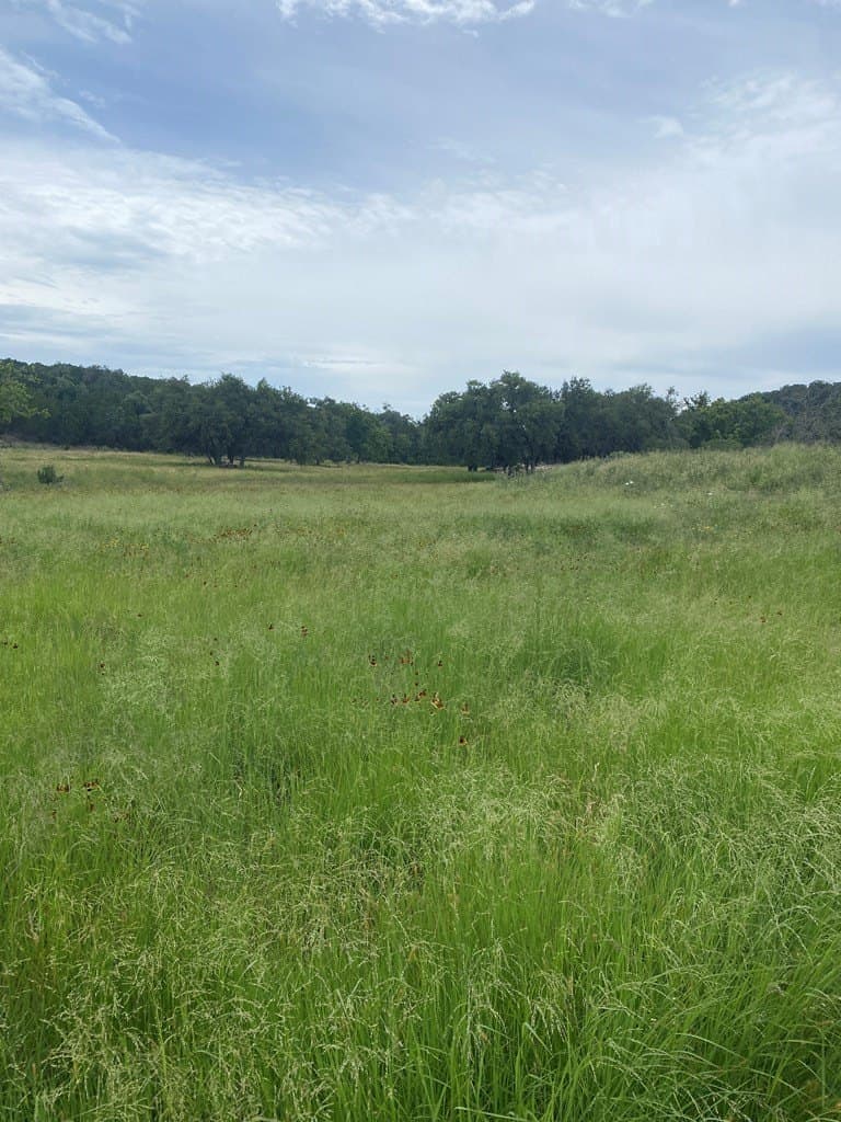 3.01 acres in Gillespie County gallery image 4