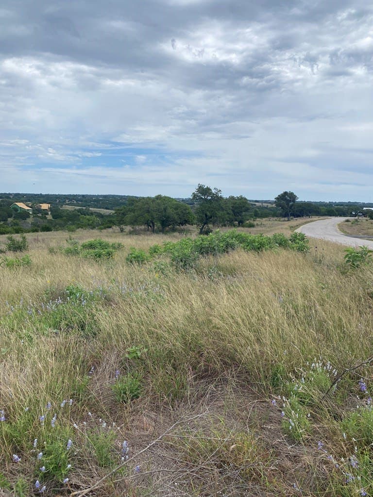 3.01 acres in Gillespie County featured view