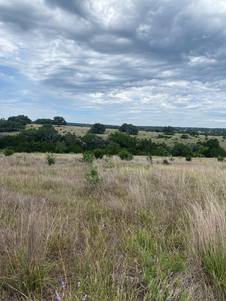 3.01 acres in Gillespie County - photo 12