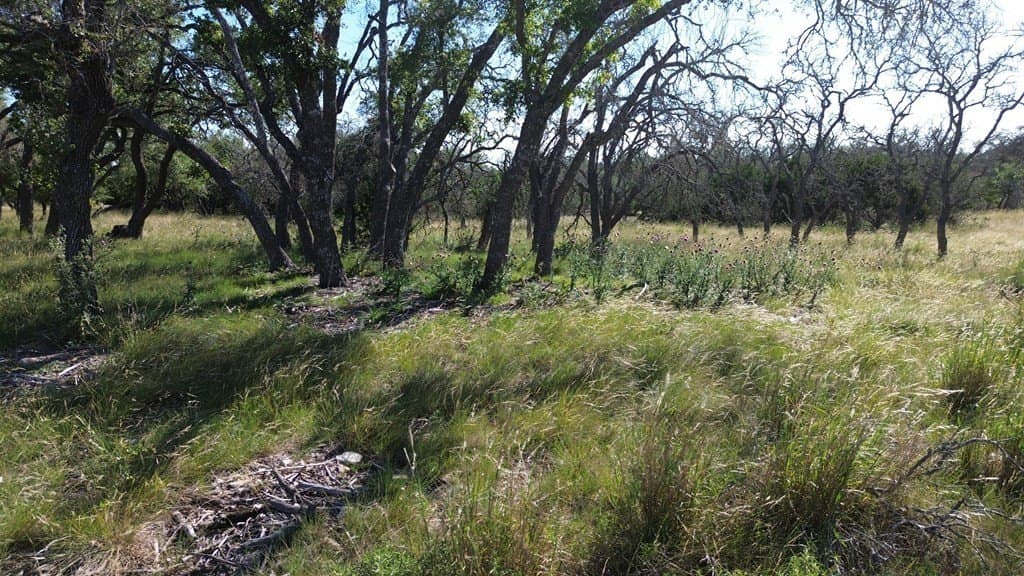 10.02 acres in Kerr County - photo 7