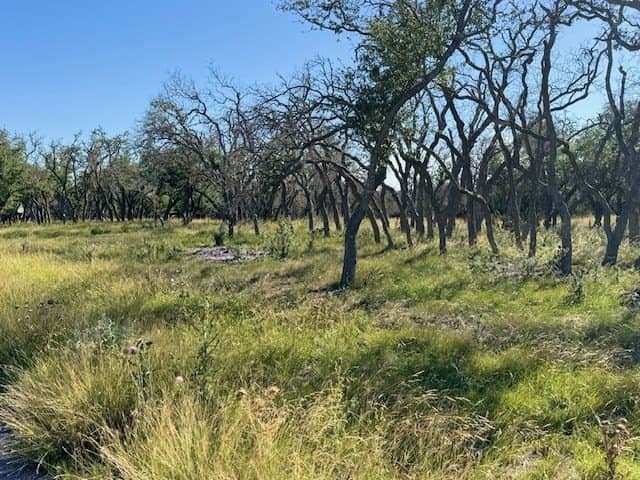 10.02 acres in Kerr County gallery image 4