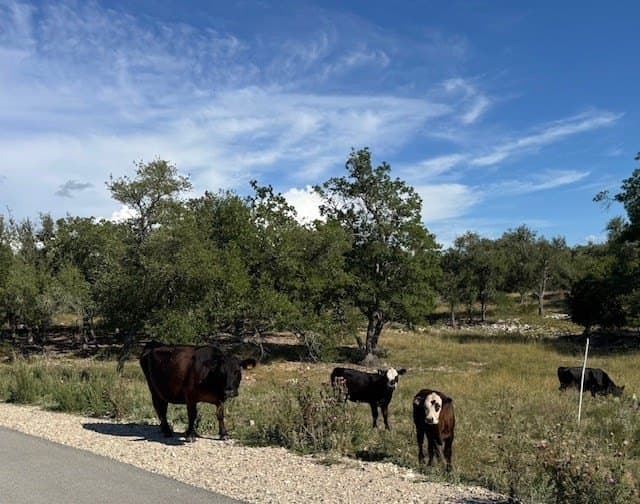 10.02 acres in Kerr County - photo 9