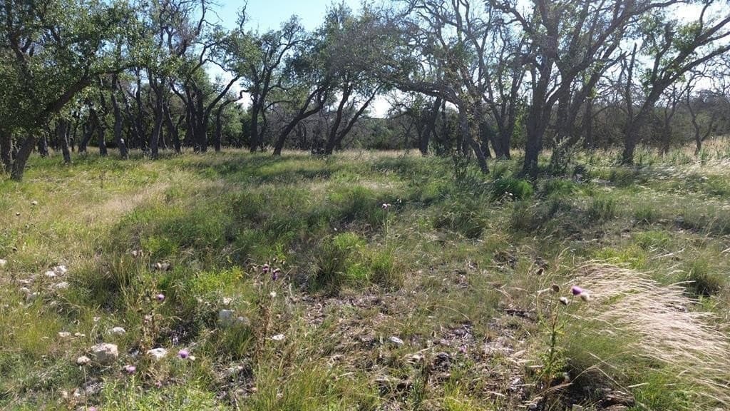 10.02 acres in Kerr County gallery image 2