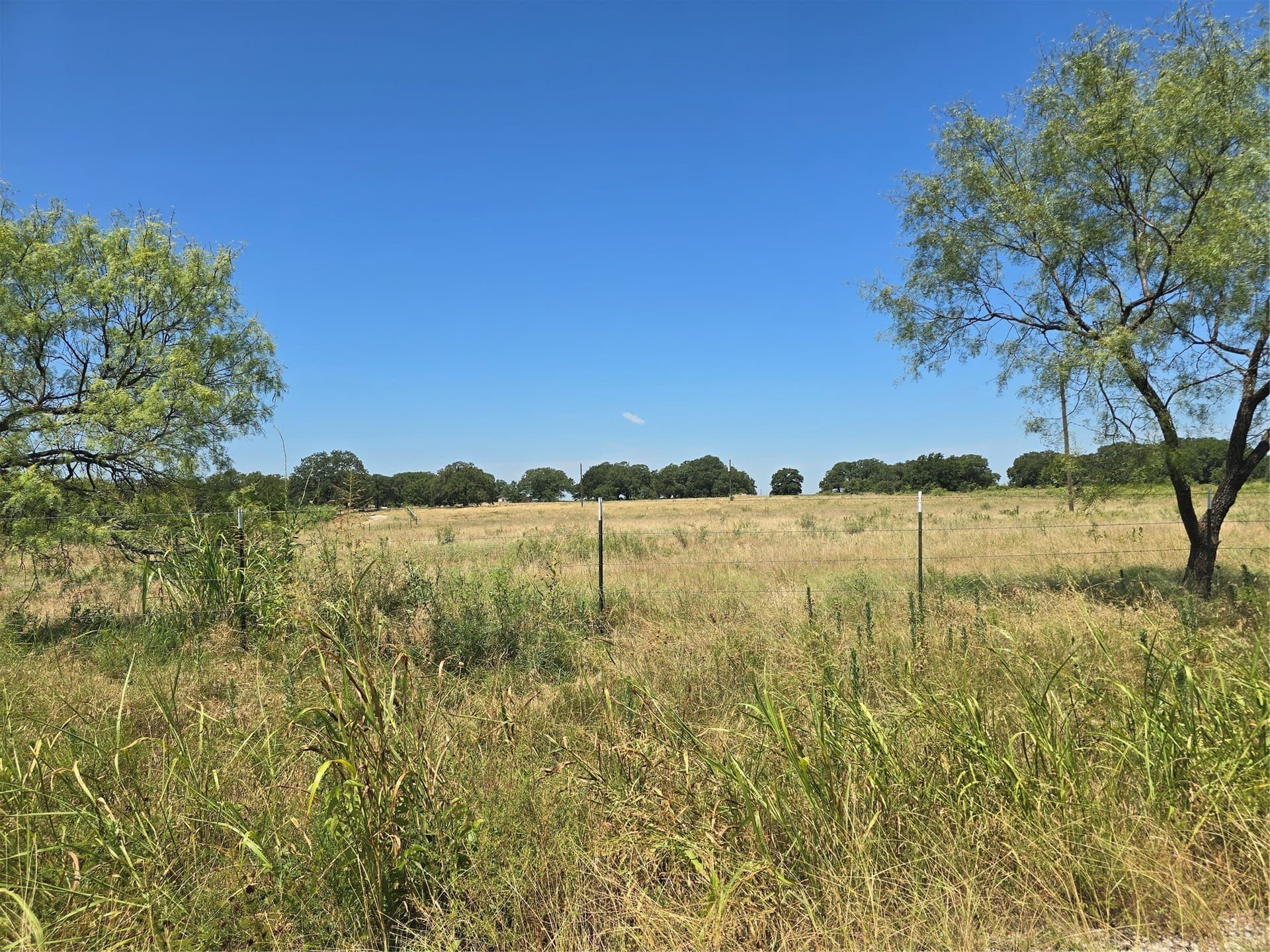 11.93 acres in Wise County - photo 7