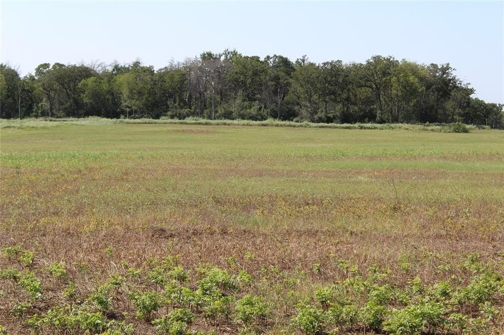 3.45 acres in Milam County gallery image 2