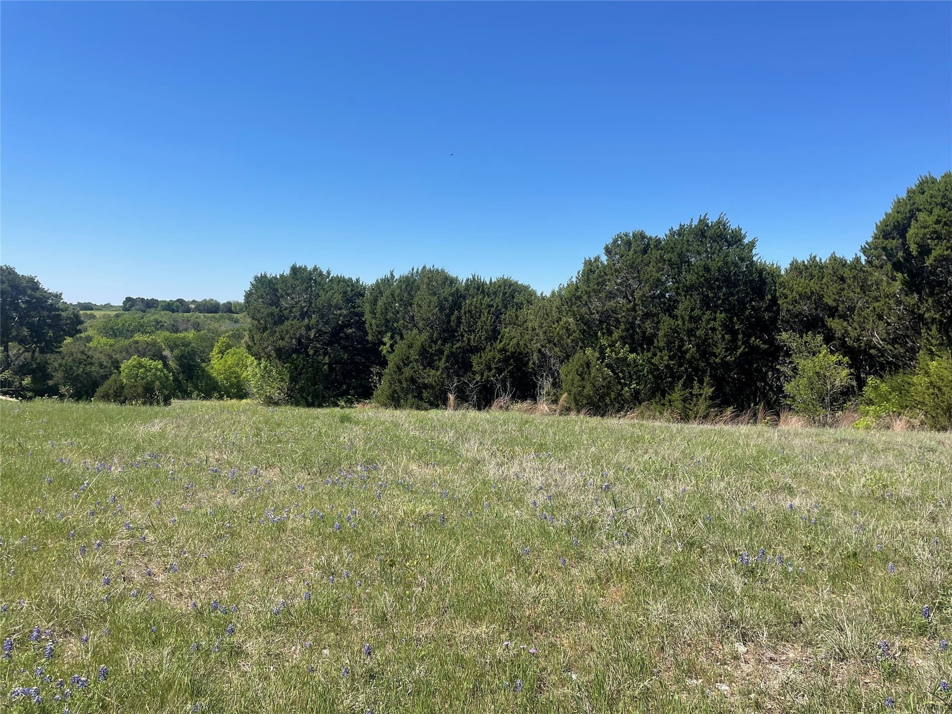 1.01 acres in Johnson County - photo 10
