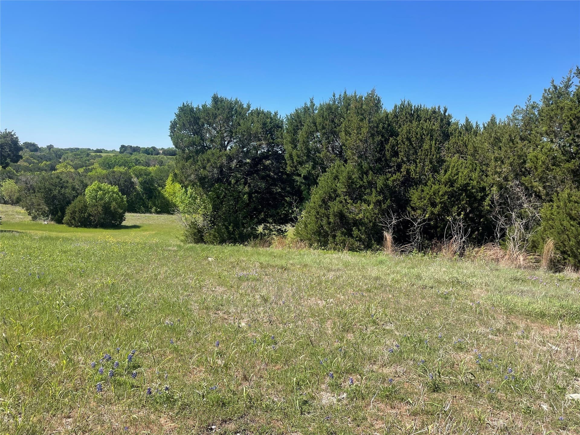 1.01 acres in Johnson County - photo 9