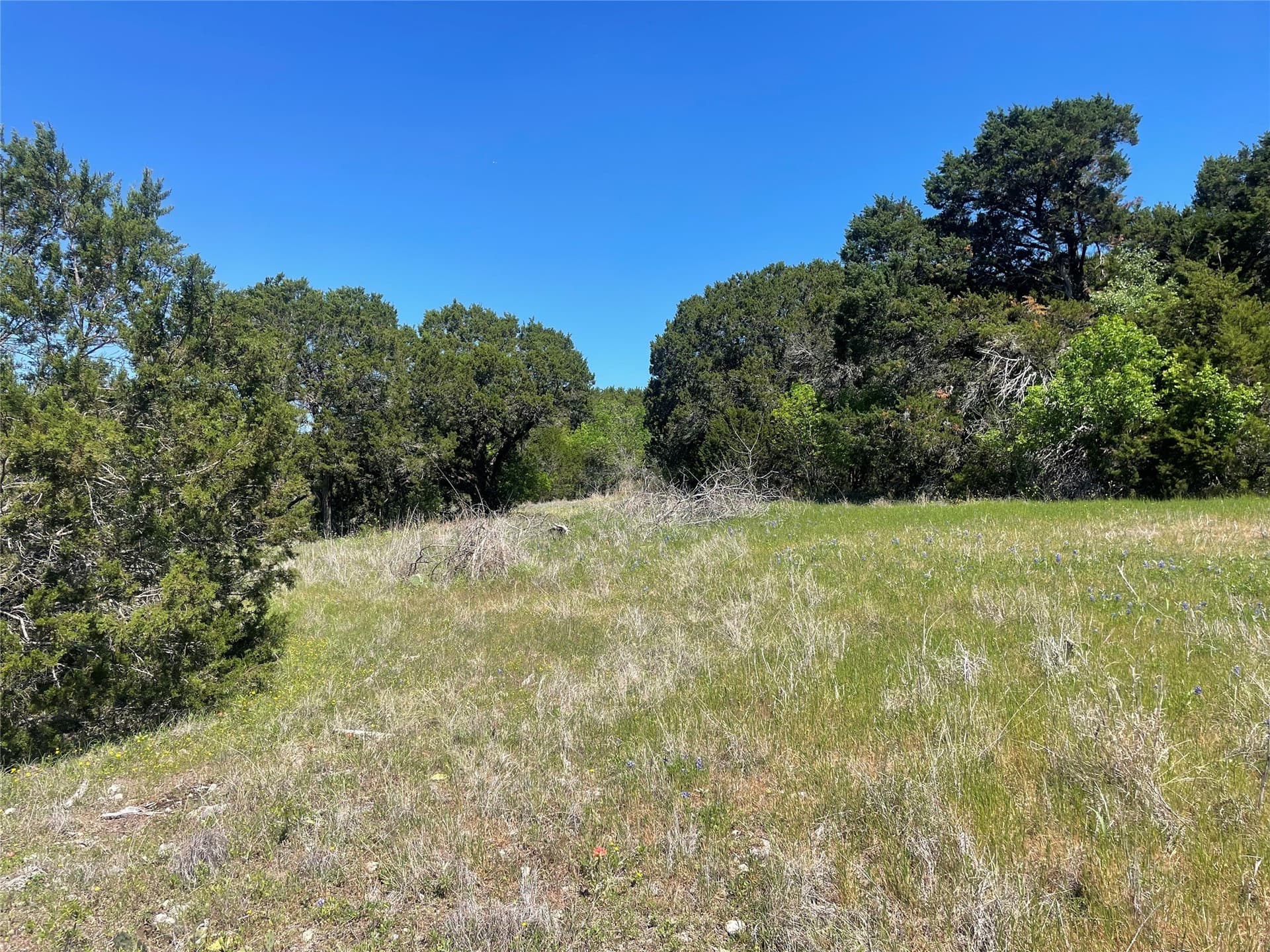 1.01 acres in Johnson County - photo 12