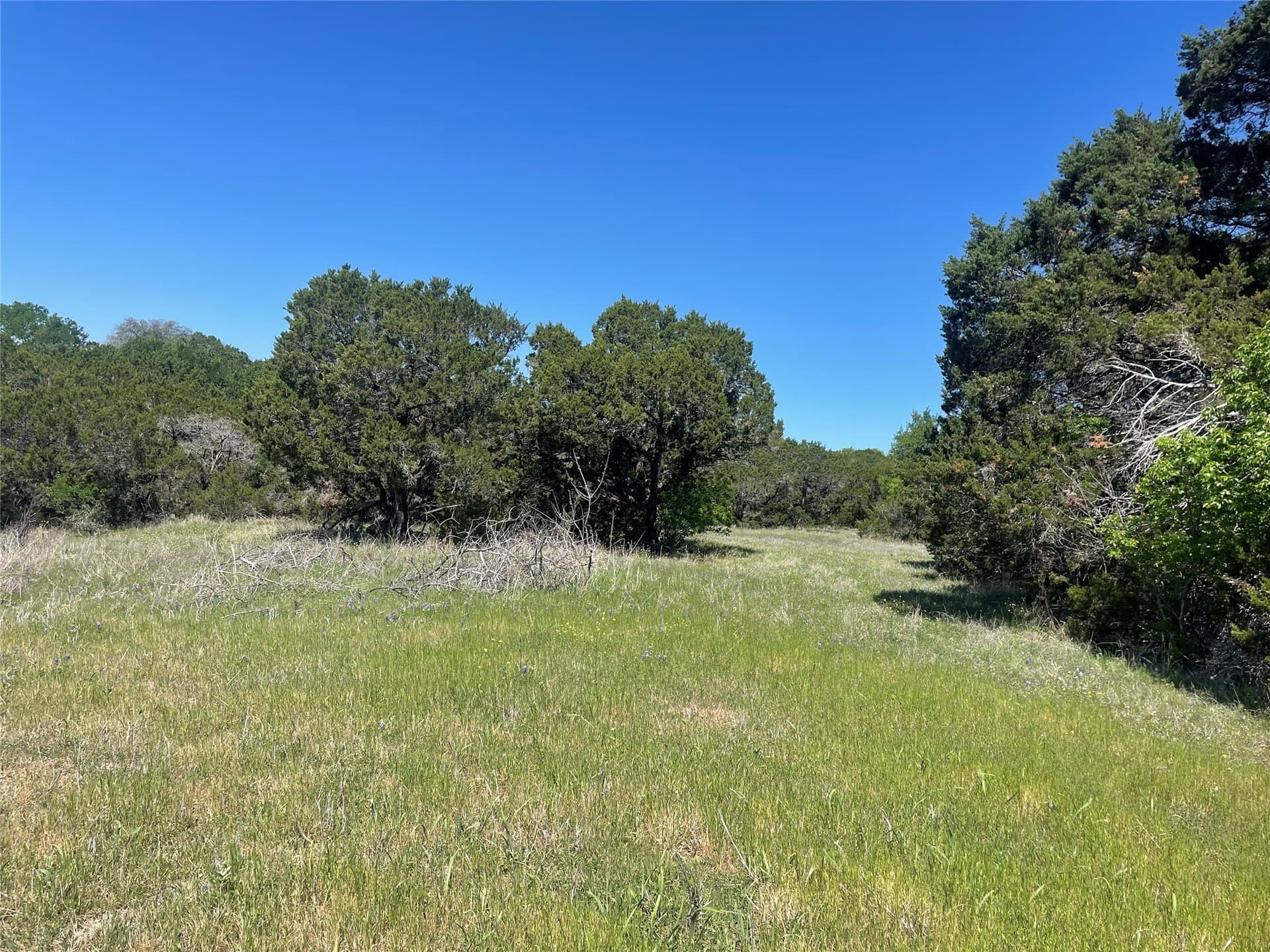 1.01 acres in Johnson County - photo 14