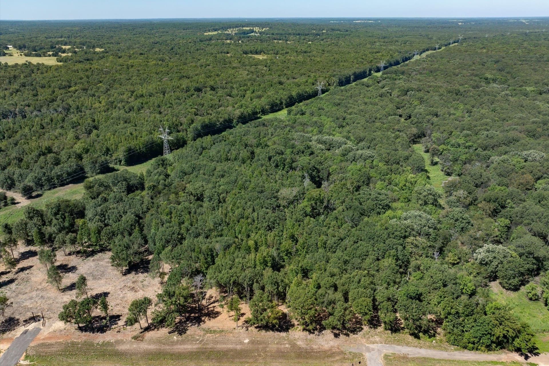 94.16 acres in Smith County - photo 14