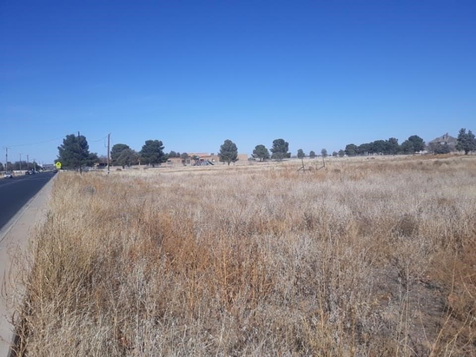 3.56 acres in Midland County gallery image 3