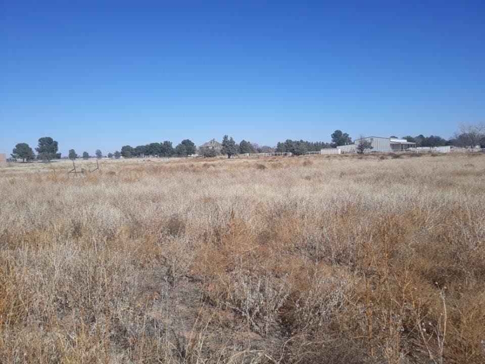 3.56 acres in Midland County gallery image 2