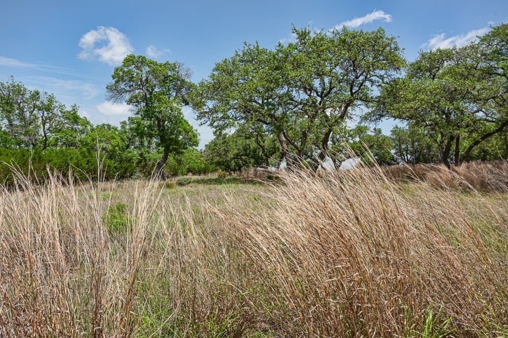 10.05 acres in Blanco County - photo 17