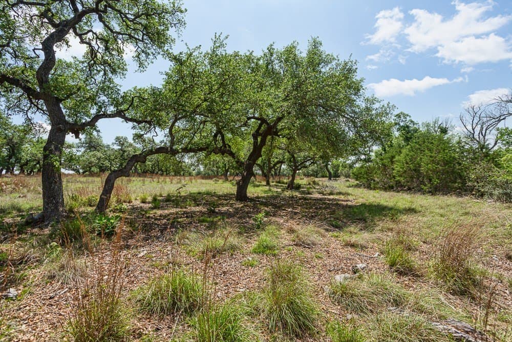 10.05 acres in Blanco County - photo 19