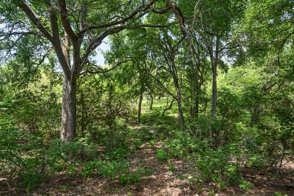 10.05 acres in Blanco County - photo 8