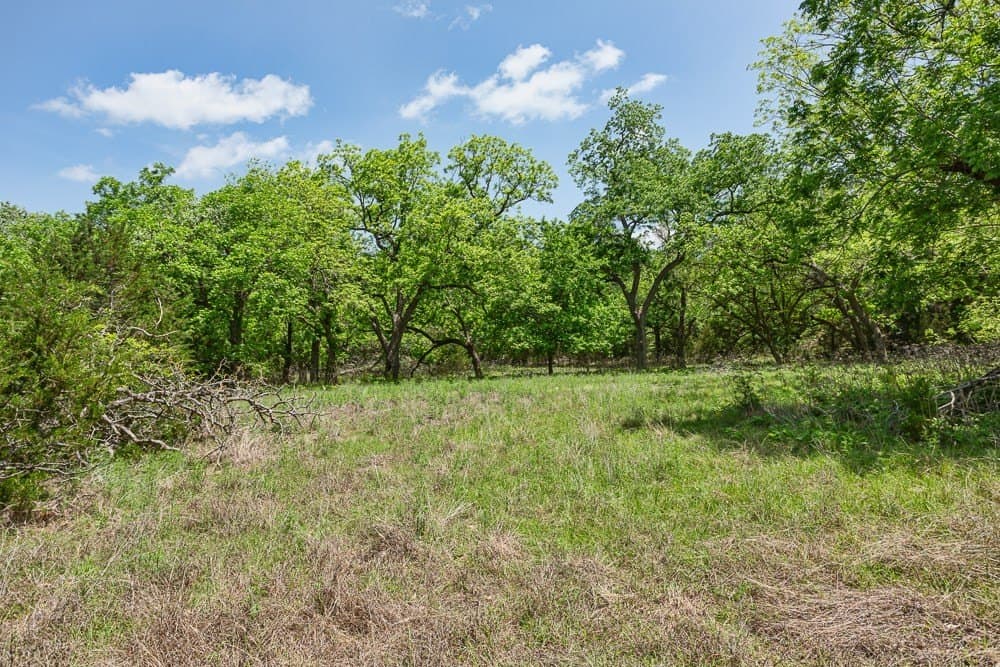 10.05 acres in Blanco County - photo 11