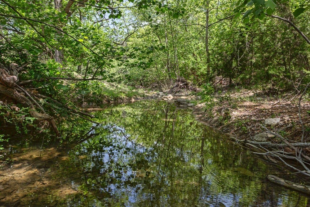 10.05 acres in Blanco County - photo 6