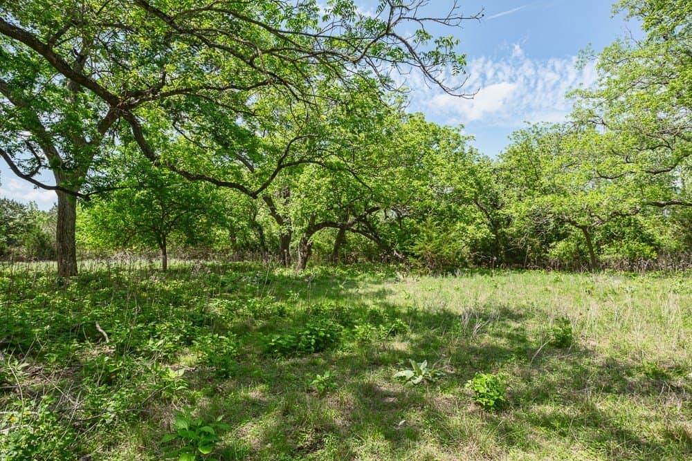 10.05 acres in Blanco County - photo 13