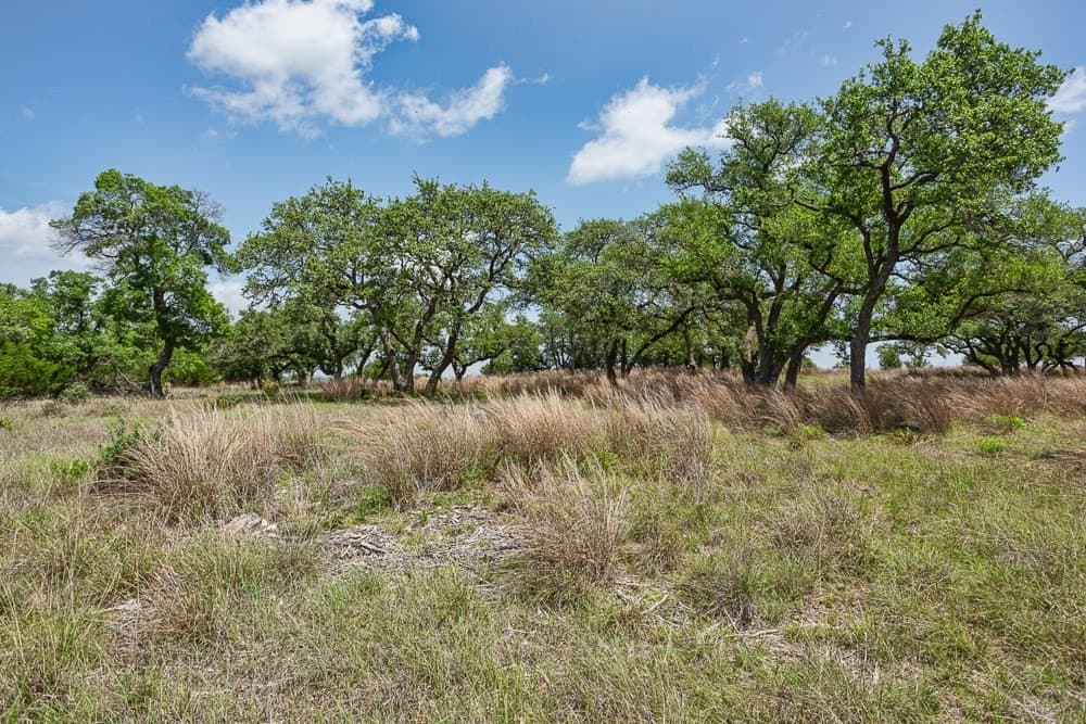 10.05 acres in Blanco County - photo 16