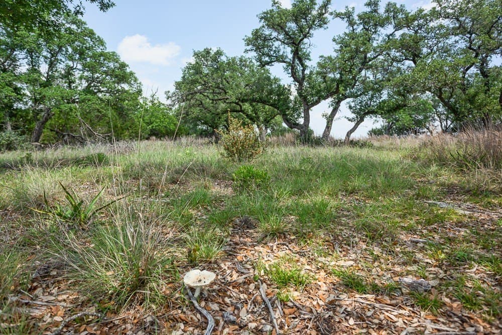 10.05 acres in Blanco County - photo 18
