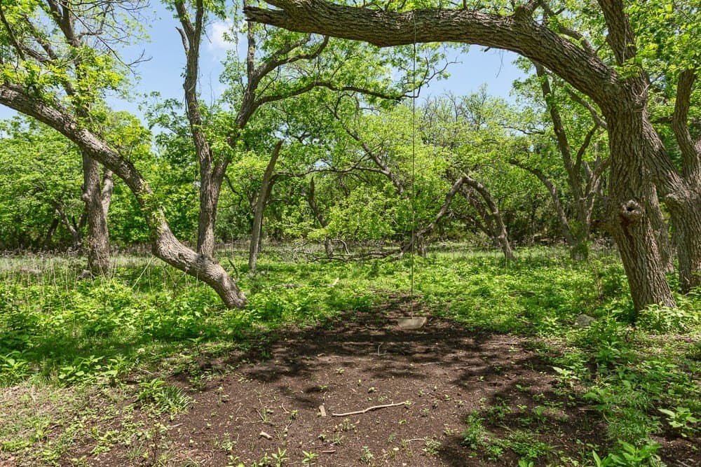 10.05 acres in Blanco County - photo 10