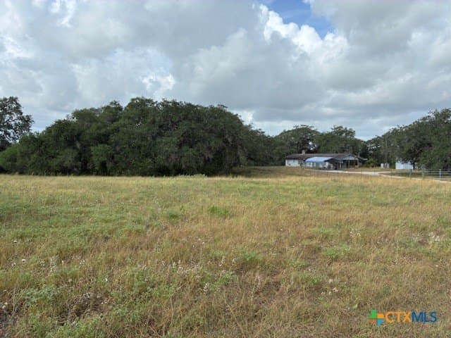 52.56 acres in DeWitt County - photo 5