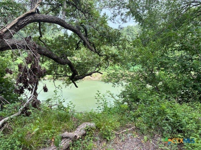 52.56 acres in DeWitt County - photo 14