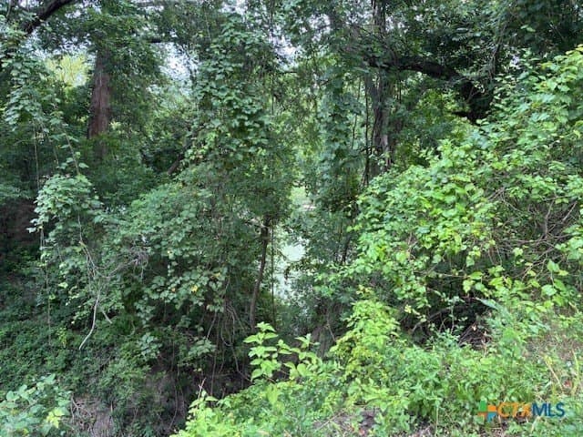52.56 acres in DeWitt County - photo 15
