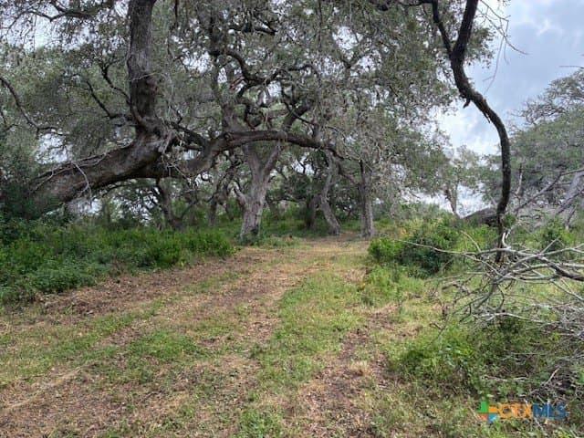 52.56 acres in DeWitt County - photo 13