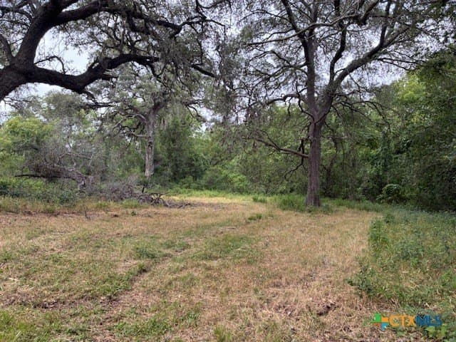 52.56 acres in DeWitt County - photo 12