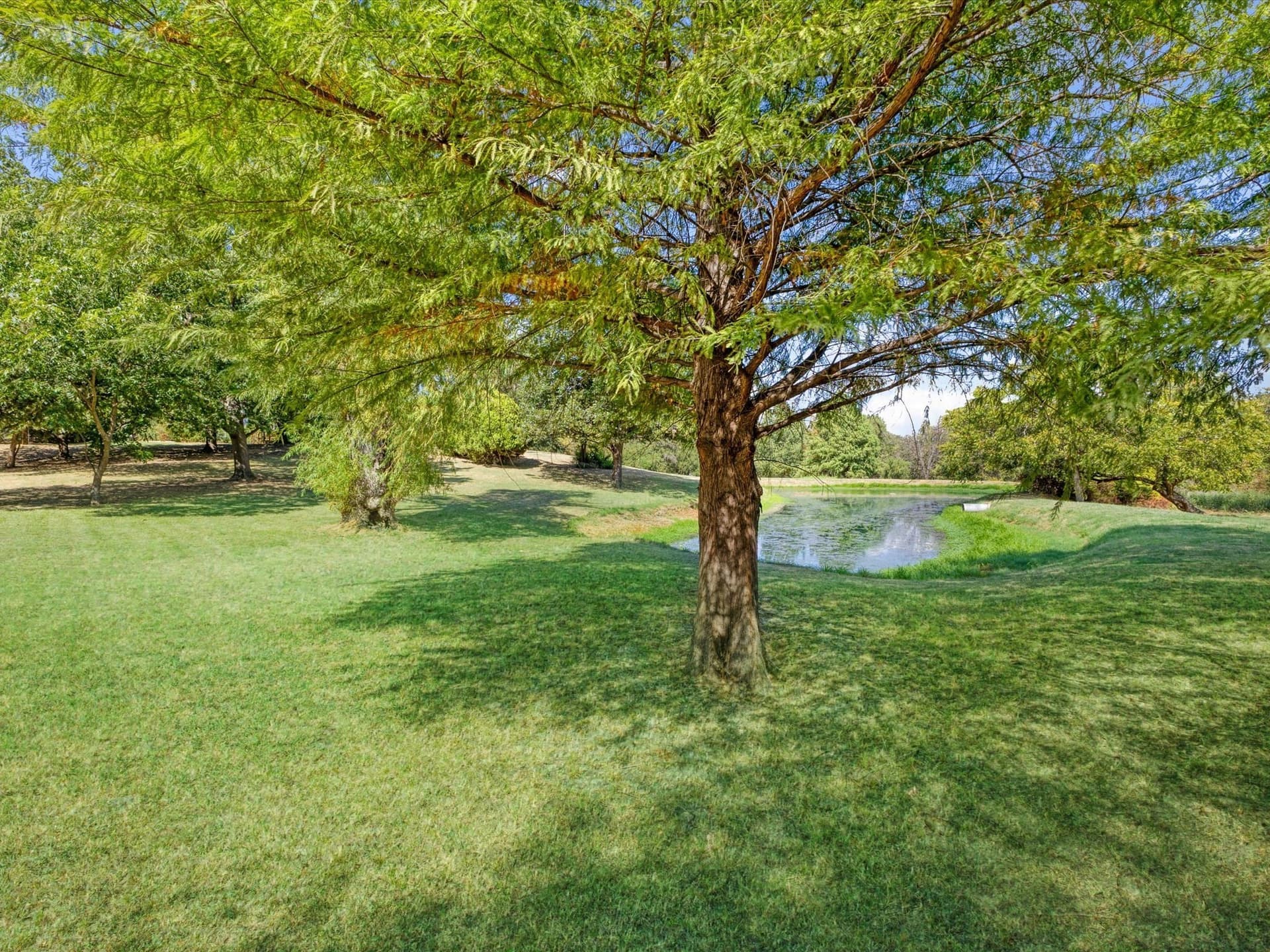 3 acres in Denton County - photo 8