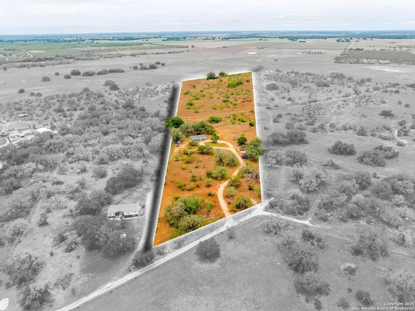 20 acres in Wilson County gallery image 3