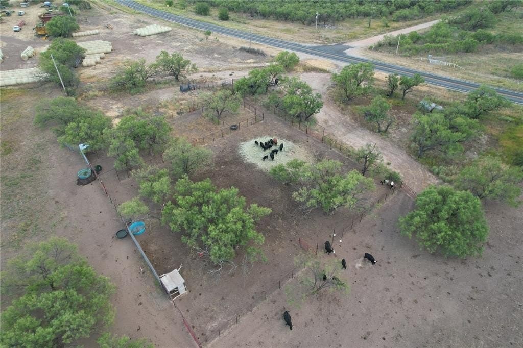 76 acres in Jones County gallery image 2