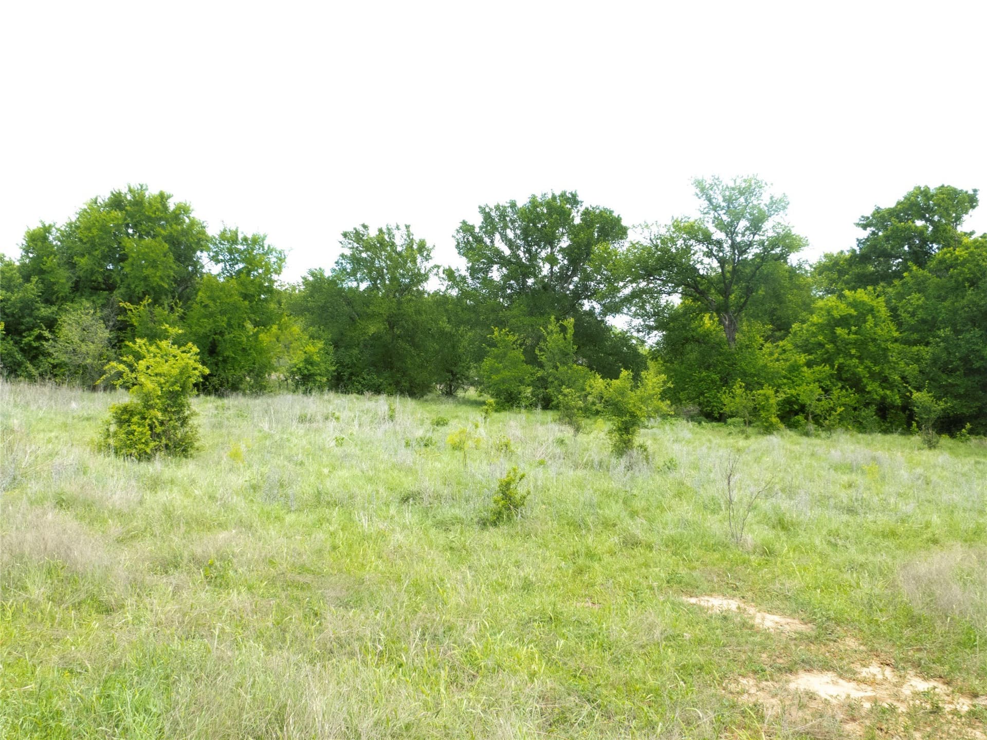 246 acres in Brown County - photo 9