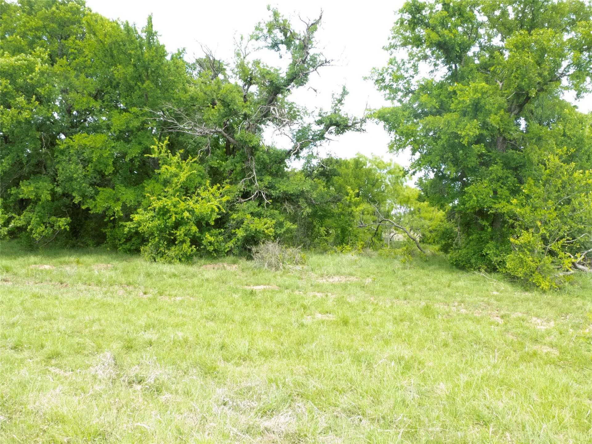 246 acres in Brown County - photo 10